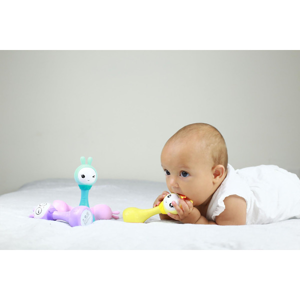 Интерактивная игрушка Alilo Умный зайка R1 60405 (фиолетовый)