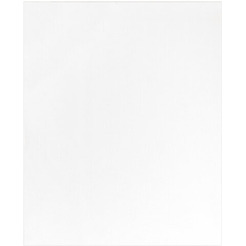 Холст для рисования BRAUBERG Art Debut 191025