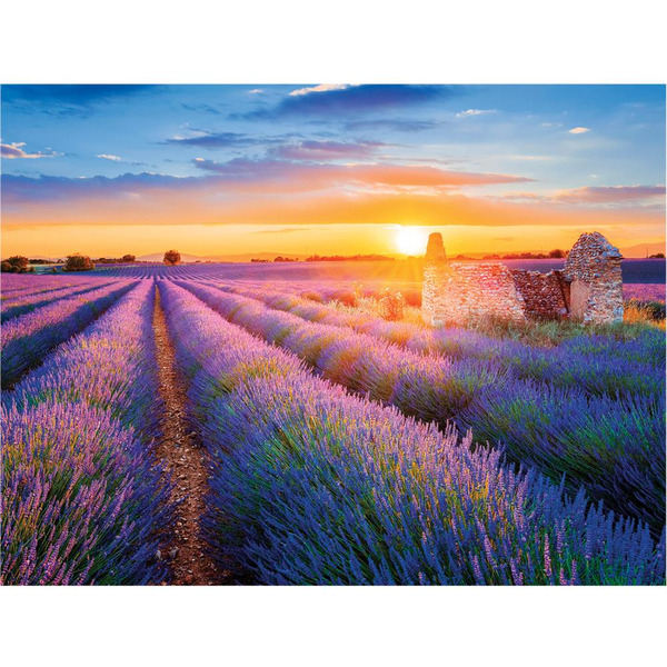 Картина стразами (алмазная мозаика) ОСТРОВ СОКРОВИЩ «Лавандовое поле» 66242