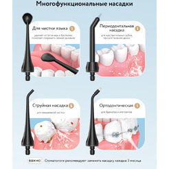 Ирригатор Fairywill F5020E (черный)