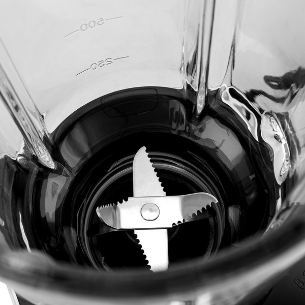 Блендер Brayer BR1209