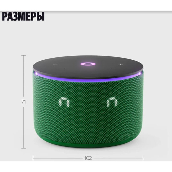 Умная колонка Яндекс.Станция Мини 3 Про (YNDX-00059GRN) зеленый