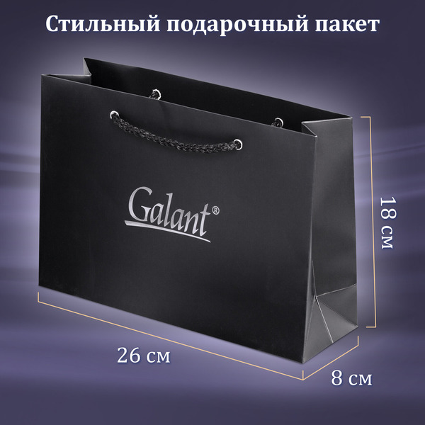 Ручка GALANT Marburg 880905 (ежедневник недатированный А5 черный, пакет)
