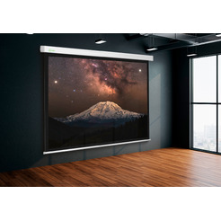 Проекционный экран CACTUS Motoscreen CS-PSM-124x221