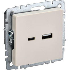 Розетка USB IEK Brite РЮ11-1БрКр