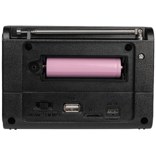 Радиоприемник Ritmix RPR-020