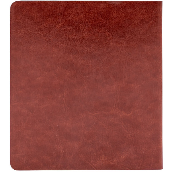 Электронная книга Onyx BOOX Galileo 2