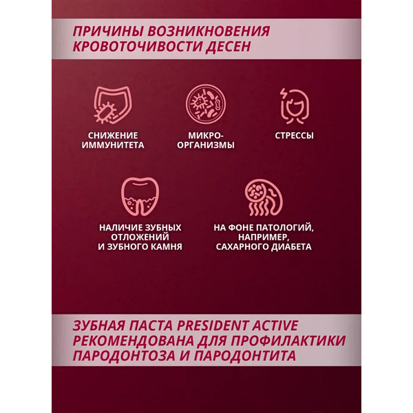 Зубная паста PresiDent Active (75мл)