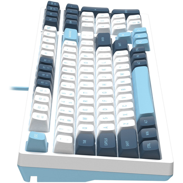 Клавиатура A4Tech Fstyler FS300 Panda Snowboarding