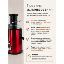 Соковыжималка RAF R.2817R