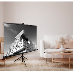 Экран CACTUS TriExpert 180x180 CS-PSTE-180x180-BK