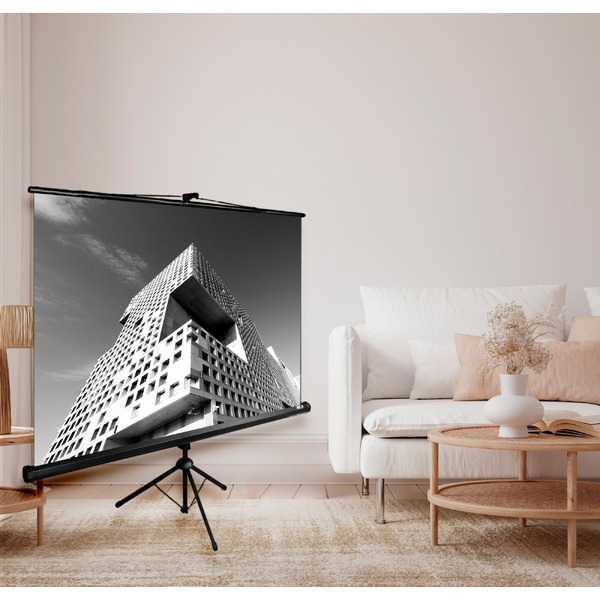 Экран CACTUS TriExpert 180x180 CS-PSTE-180x180-BK