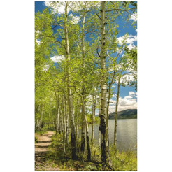 Инфракрасный обогреватель ОАО "БРТЗ" Дыхание тепла 20с455