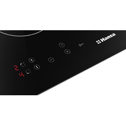 Варочная панель Hansa BHC36106