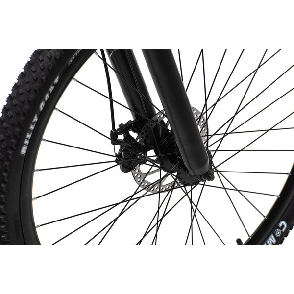 Электровелосипед Furendo E-X1 350 (красный)