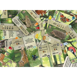 Настольная игра Стиль Жизни Смешанный лес LS188