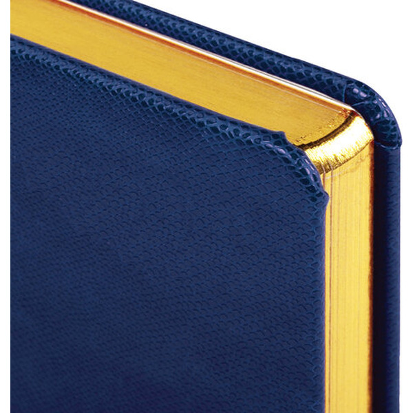 Ежедневник недатированный BRAUBERG Iguana 125091