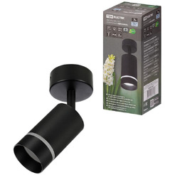 Спот TDM Electric Вероника SQ0356-0421