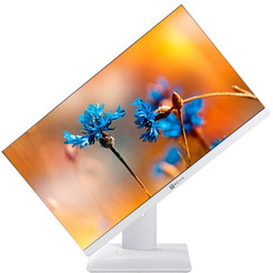 Моноблок Тесла P24WP 2108500