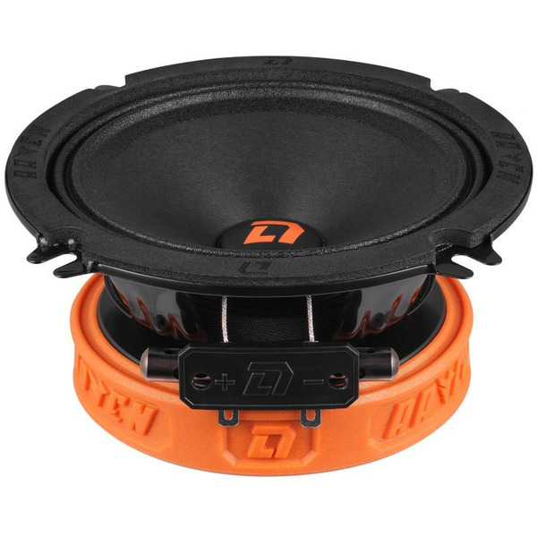 Акустическая система DL Audio Raven 130