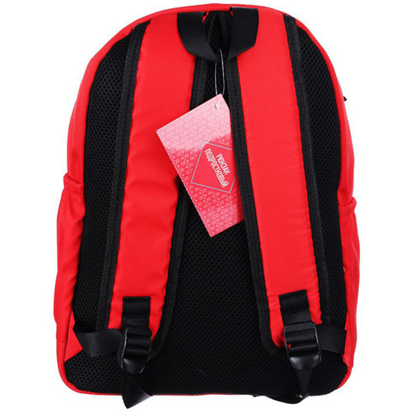 Рюкзак ClipStudio 254-202