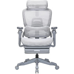 Кресло компьютерное EVOLUTION ZX 2