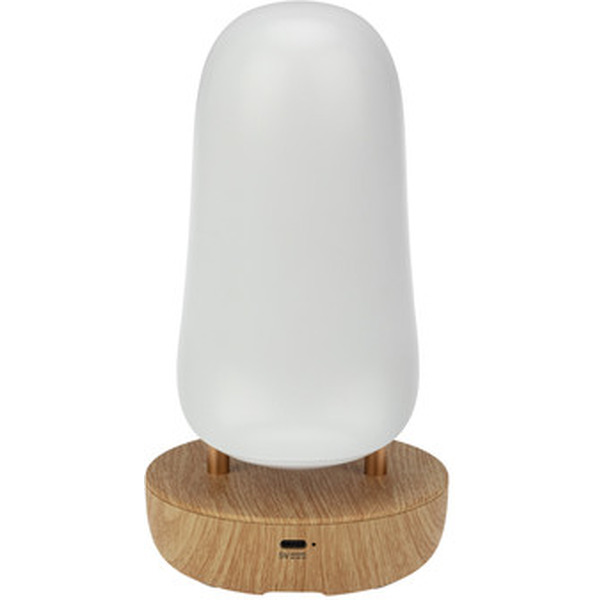 Интерьерный светильник NEON-NIGHT Тукан 503-059