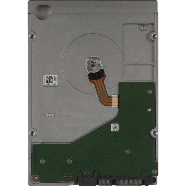 Жесткий диск Seagate SkyHawk AI 10TB ST10000VE001