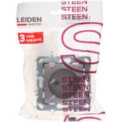 Розетка Leiden Electric Steen 806075