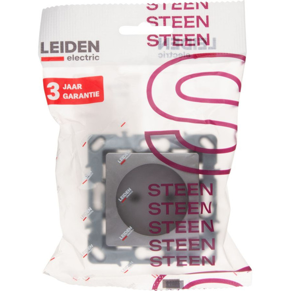 Розетка Leiden Electric Steen 806075