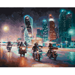 Картина по номерам Белоснежка Жгут пространство железные птицы 309-AB