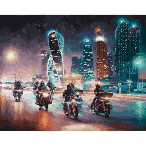 Картина по номерам Белоснежка Жгут пространство железные птицы 309-AB