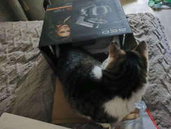 Планетарный миксер RED SOLUTION RFM-5393