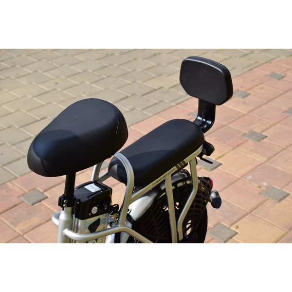 Электровелосипед Terax ROXY NS010