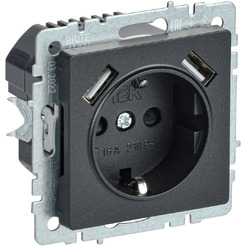Розетка IEK BRITE BR-R14-16-U21-D21-K53