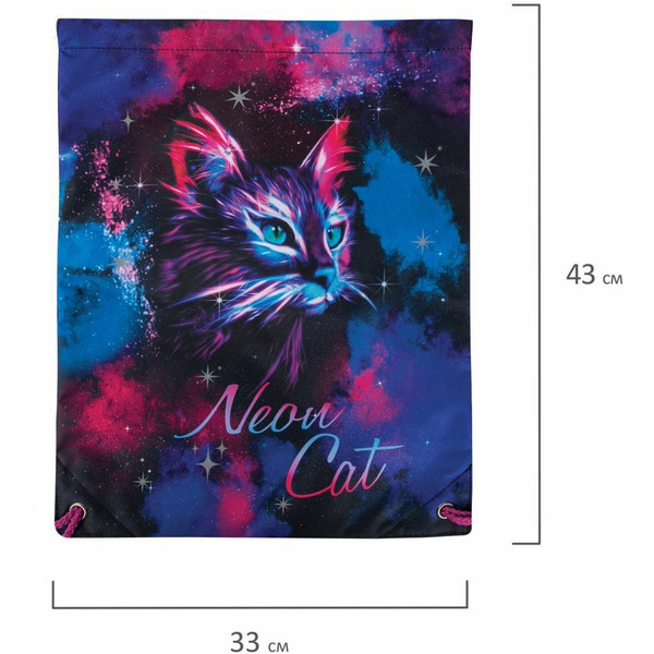 Мешок для обуви BRAUBERG 271621