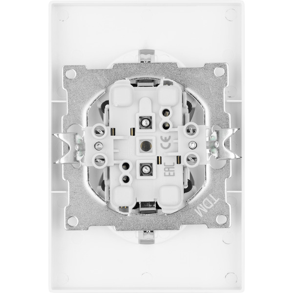 Розетка TDM Сенеж SQ1816-0037