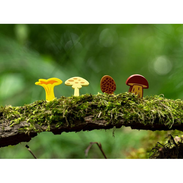 Настольная игра Стиль Жизни Грибные места LS147