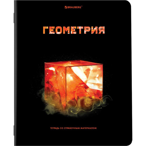 Тетради предметные BRAUBERG 404324 (КОМПЛЕКТ 12 ПРЕДМЕТОВ, 48л, глянцевый УФ-лак)