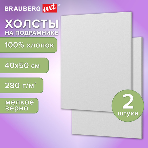 Холсты на подрамнике BRAUBERG ART 192673 (2 шт)