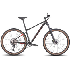 Велосипед Hagen 4.10 29 L 2025 H25M410HM29L (тяжелый металл)
