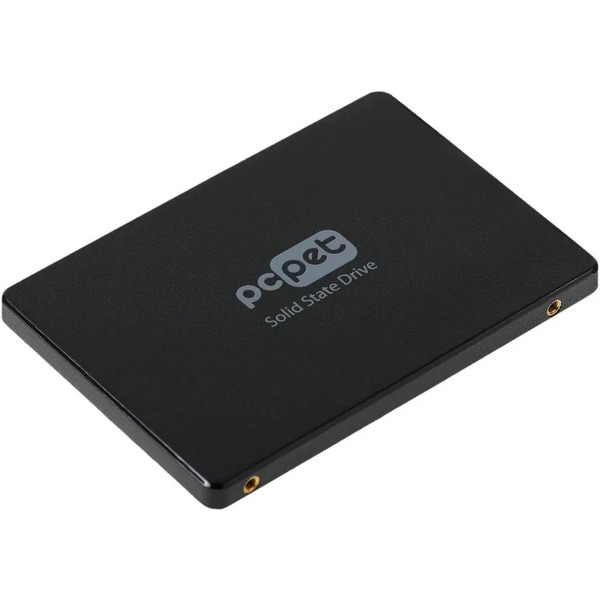 SSD PC Pet 256GB PCPS256G2