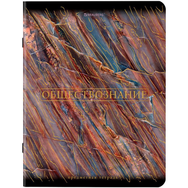 Тетради предметные BRAUBERG 404326 (КОМПЛЕКТ 12 ПРЕДМЕТОВ, 48л, SoftTouch, фольга)
