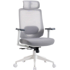 Кресло компьютерное EVOLUTION HybridFlex (белый)