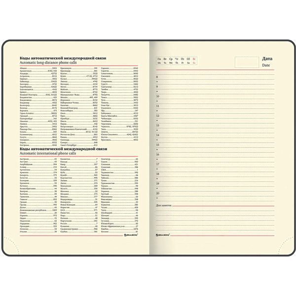 Ежедневник BRAUBERG недатированный Iguana 114456 (лиловый)