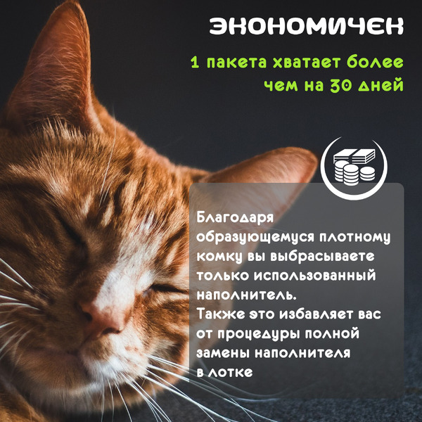 Наполнитель для туалета Cat Step Tofu Green Tea 12 л