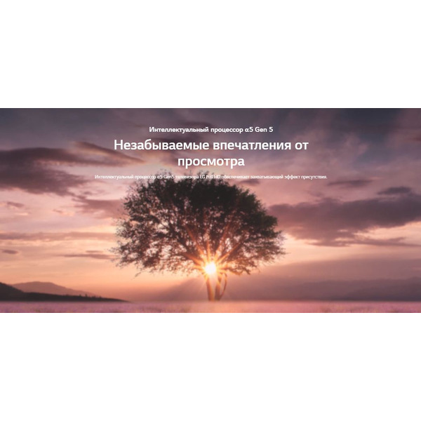 Телевизор LG 32LQ63806LC