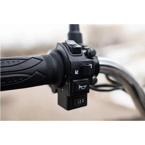 Электровелосипед AVM E-ALFA 20 Pro (серебристый)