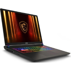 Игровой ноутбук MSI Vector 17 HX AI A2XWJG-216XBY Win11Pro