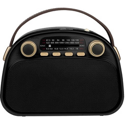 Радиоприёмник RITMIX RPR-040 (черный)